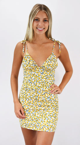 Sunny Meadow Smocked Back Mini Dress